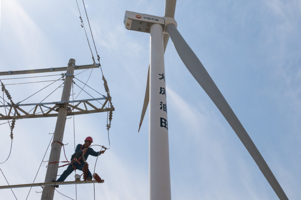 China shines in global energy storage